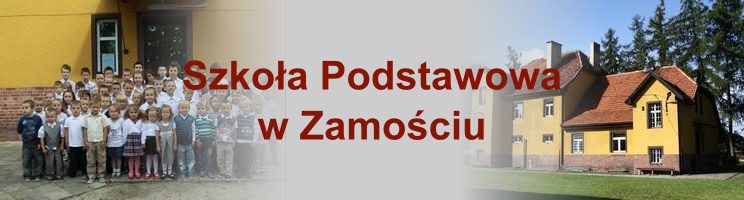 Zamość 14, 63-520 Grabów n/Prosną   